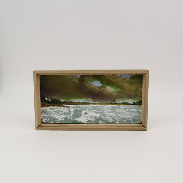 after the storm 1 Vincent brandi painting