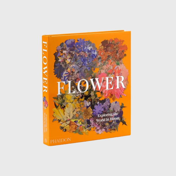 Flower Exploring the World in Bloom