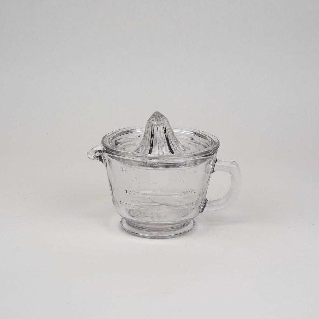 citrus juicer earth & nest glass