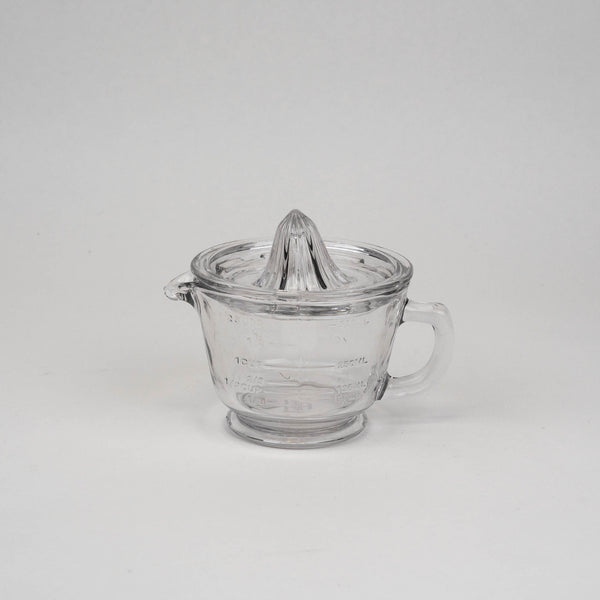 citrus juicer earth & nest glass