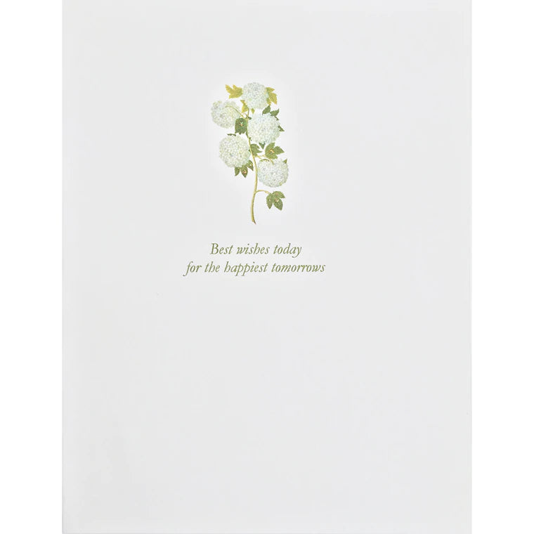 Best Wishes White Hydrangea
