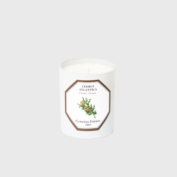 carriere freres cedarr scented candle made in france