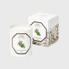 carriere freres cedarr scented candle made in france