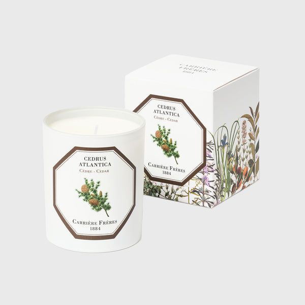 carriere freres cedarr scented candle made in france