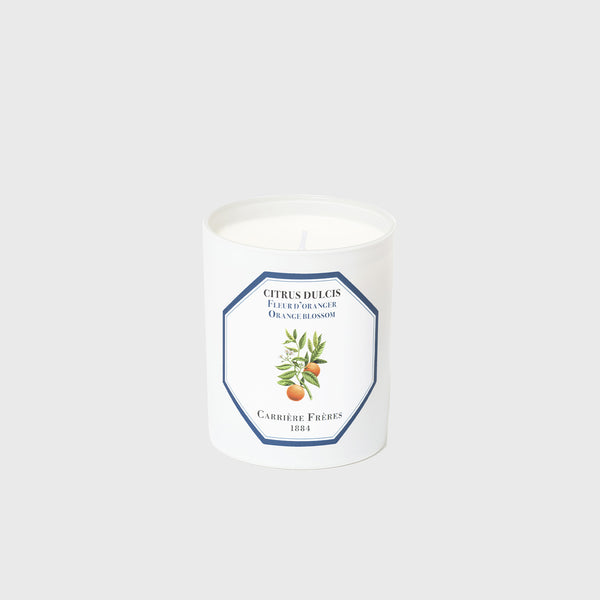 carriere freres orange blossom scented candle