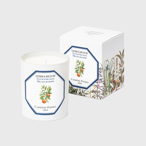 carriere freres orange blossom scented candle