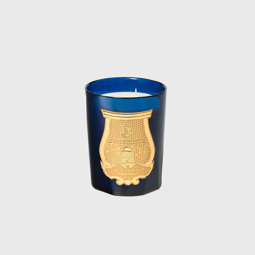 trudon belles matieres Reggio candle room beeswax France classic mandarin