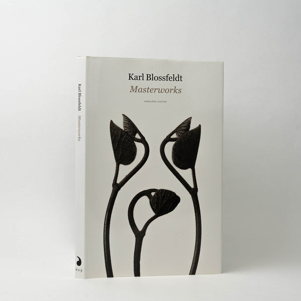 karl blossfeldt book plants