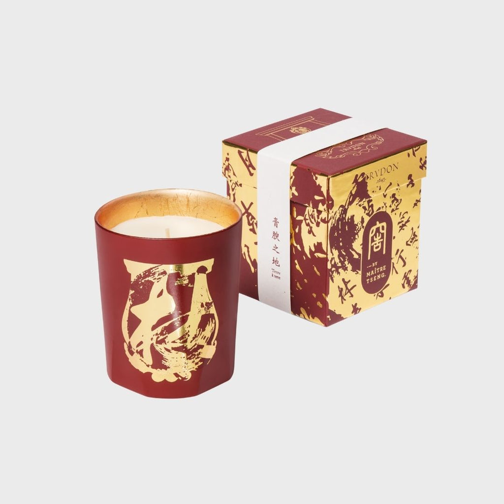 Trudon Tseng Terre a Terre Candle frech candle Violet Leaf Accord, Grapefruit Accord, Elemi, Grapefruit scent