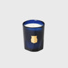 trudon belles matieres Reggio candle room beeswax France classic mandarin