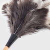 feather duster cleaning tool