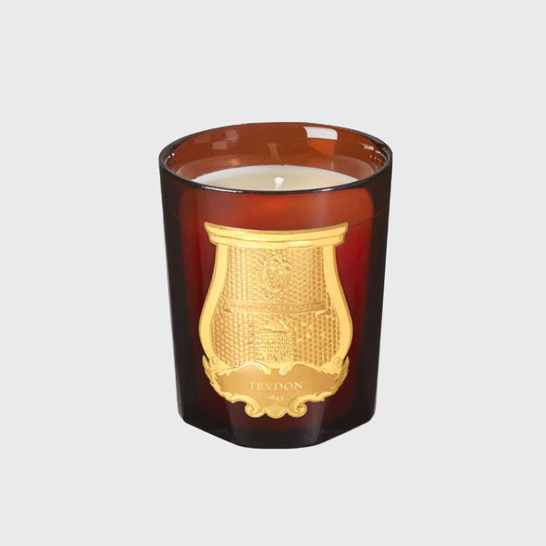 Trudon cire classic candle cire classic candle box beeswax musk vanilla