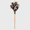 feather duster, cleaning tool