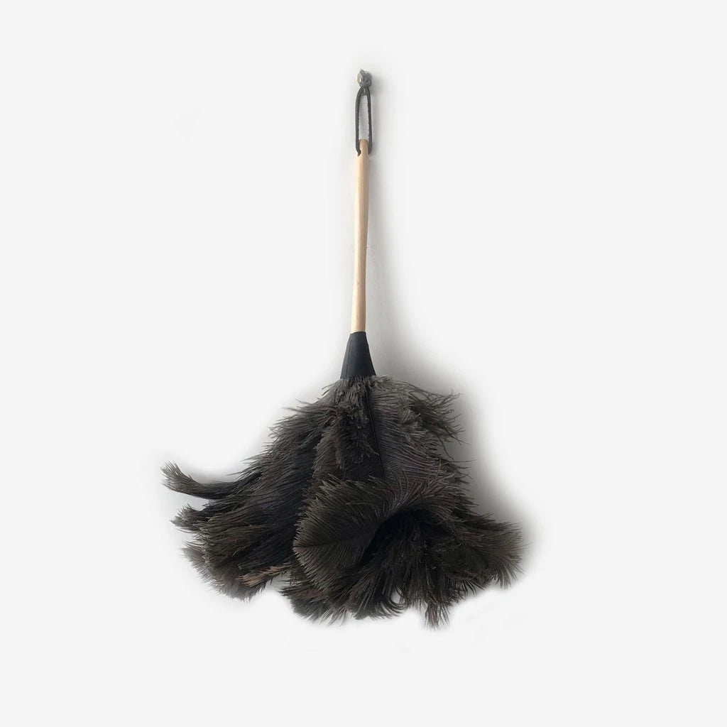 feather duster, cleaning tool, home