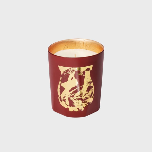 Trudon Tseng Terre a Terre Candle frech candle Violet Leaf Accord, Grapefruit Accord, Elemi, Grapefruit scent